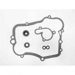 Water Pump Gasket Set-YZ85 02-19