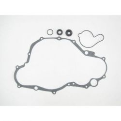 Water Pump Gasket Set-YZF450/WRF450