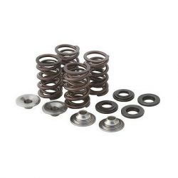 KW Complete Valve Spring Kit