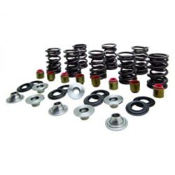 KW Complete Valve Spring Kit