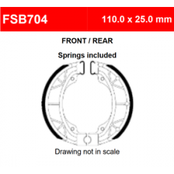 Ferodo Brake Shoe EBC303