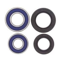 Wheel Bearing Kit-Front25-1042