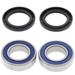 Wheel Bearing Kit-Rear25-1273