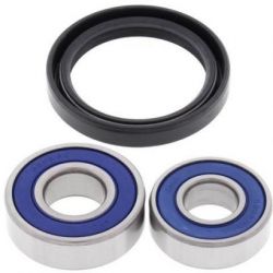 Wheel Bearing Kit-Front25-1195