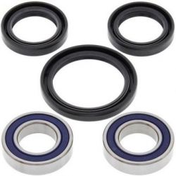 Stainless Wheel Bearing Kit-Front25-1080