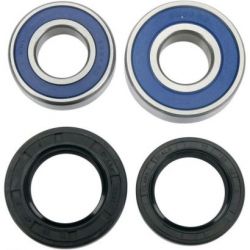 Wheel Bearing Kit-Rear25-1113