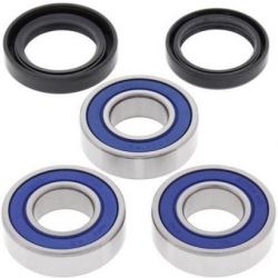 Wheel Bearing Kit-Rear25-1202