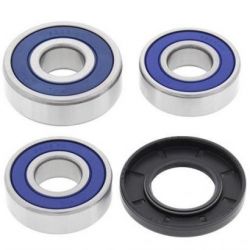 Wheel Bearing Kit-Rear25-1422