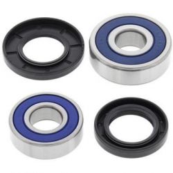 Wheel Bearing Kit-Rear25-1206