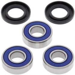 Wheel Bearing Kit-Rear25-1033