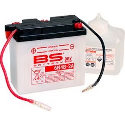 BS Conventional 6V Battery