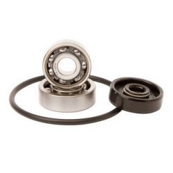 Water Pump Bearing Kit-SX125/150/TC/TE125