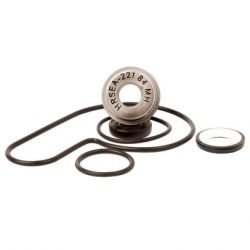 Water Pump Bearing Kit-LTZ/KFX/DVX400