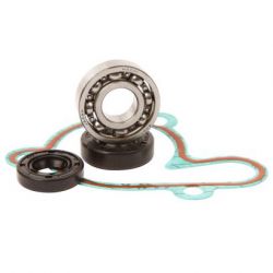 Water Pump Bearing Kit-YZ85 02-18