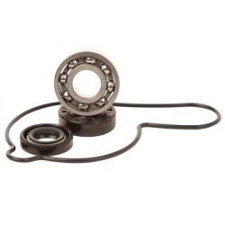 Water Pump Bearing Kit-YZF/WRF400/426/450